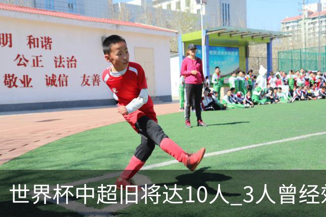 世界杯中超旧将达10人 3人曾经效力国安海港两将